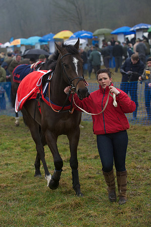 Young Horse Maiden  25