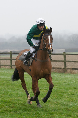 Young Horse Maiden  26