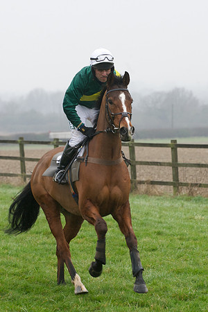 Young Horse Maiden  27