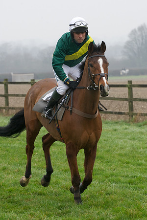 Young Horse Maiden  28