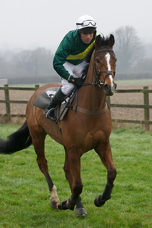 Young Horse Maiden  29