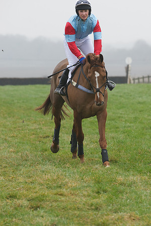 Young Horse Maiden  30