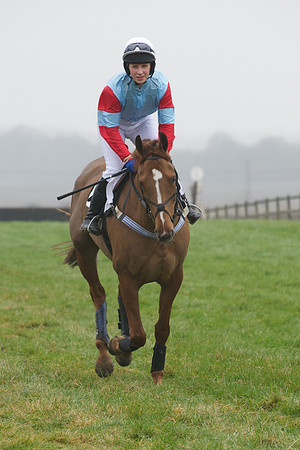 Young Horse Maiden  31