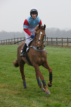 Young Horse Maiden  32