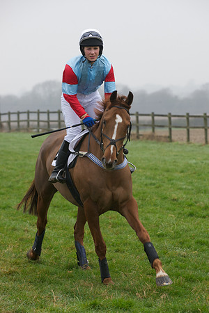 Young Horse Maiden  33
