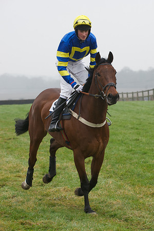 Young Horse Maiden  34