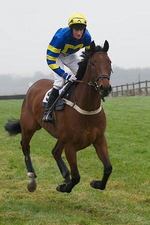 Young Horse Maiden  35