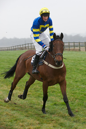 Young Horse Maiden  36