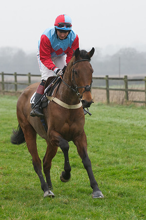 Young Horse Maiden  37