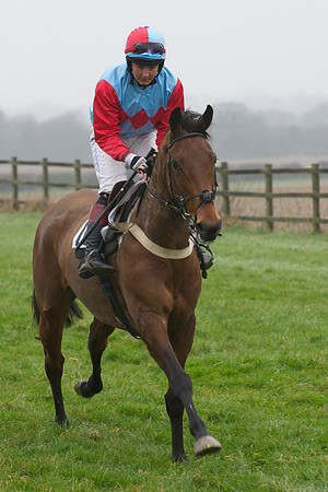 Young Horse Maiden  38