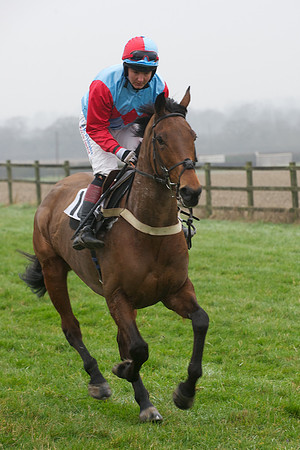 Young Horse Maiden  39