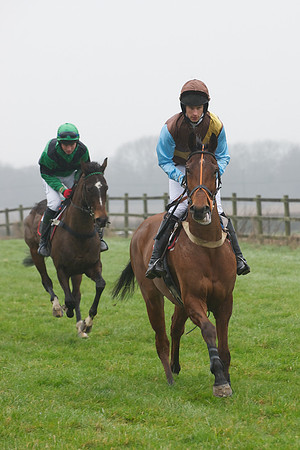 Young Horse Maiden  40