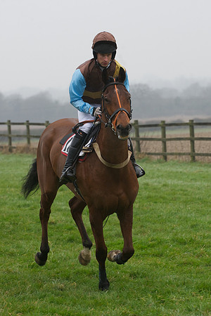 Young Horse Maiden  41