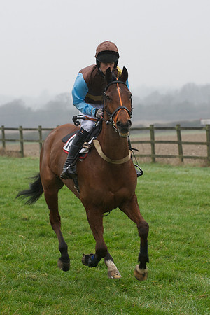 Young Horse Maiden  42