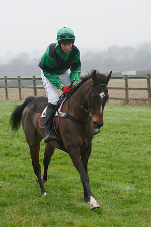 Young Horse Maiden  43