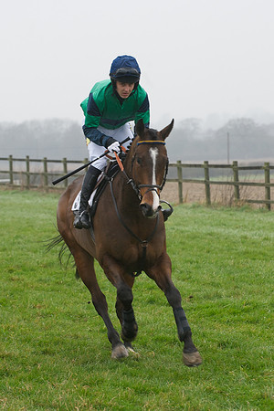 Young Horse Maiden  44