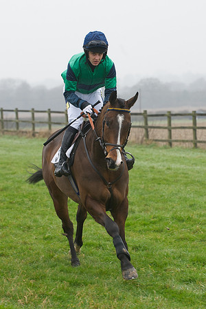 Young Horse Maiden  45