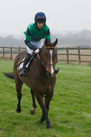 Young Horse Maiden  46