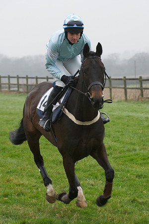 Young Horse Maiden  47