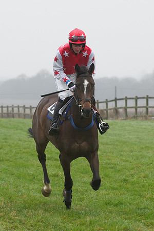 Young Horse Maiden  48
