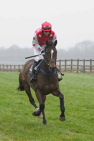 Young Horse Maiden  49