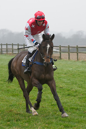 Young Horse Maiden  50