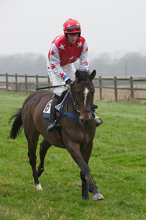 Young Horse Maiden  51