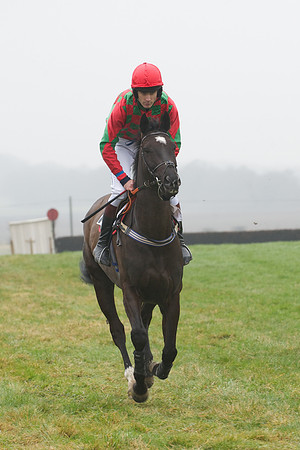 Young Horse Maiden  52