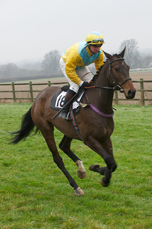 Young Horse Maiden  54