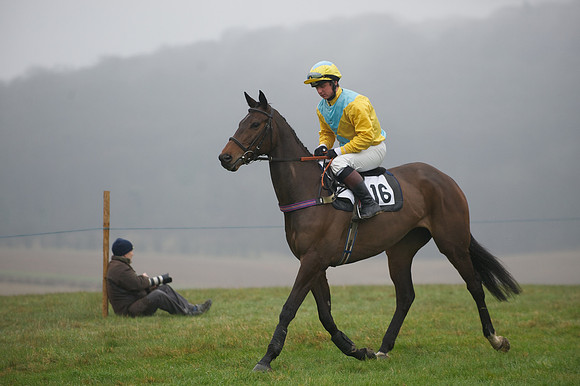 Young Horse Maiden  55