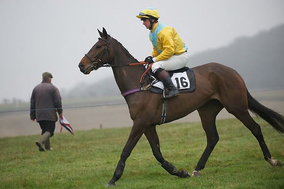 Young Horse Maiden  56