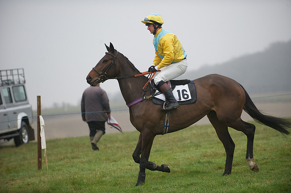 Young Horse Maiden  57
