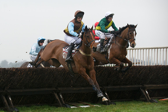 Young Horse Maiden  60