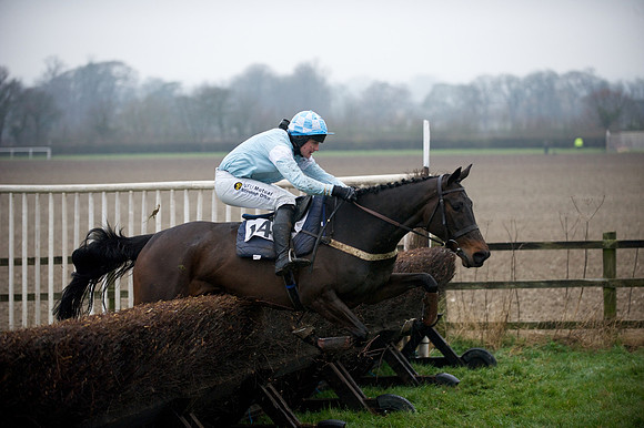 Young Horse Maiden  71