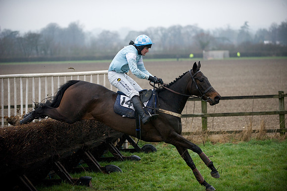 Young Horse Maiden  72