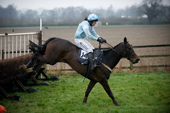 Young Horse Maiden  73