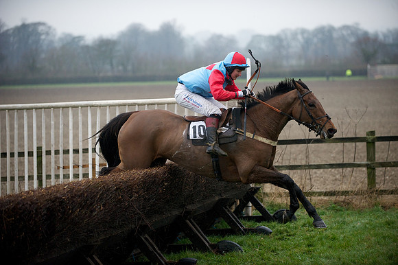 Young Horse Maiden  75