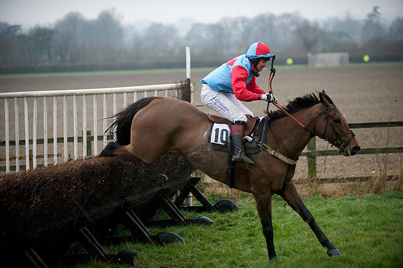 Young Horse Maiden  76