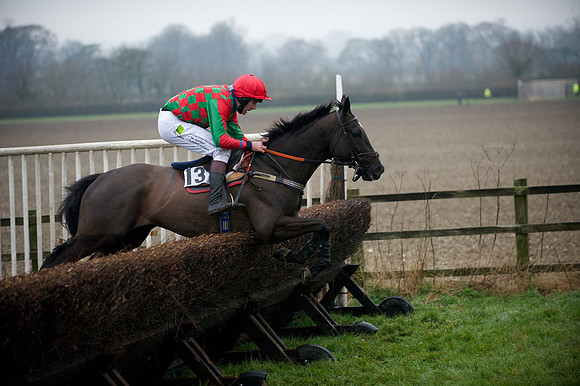 Young Horse Maiden  78