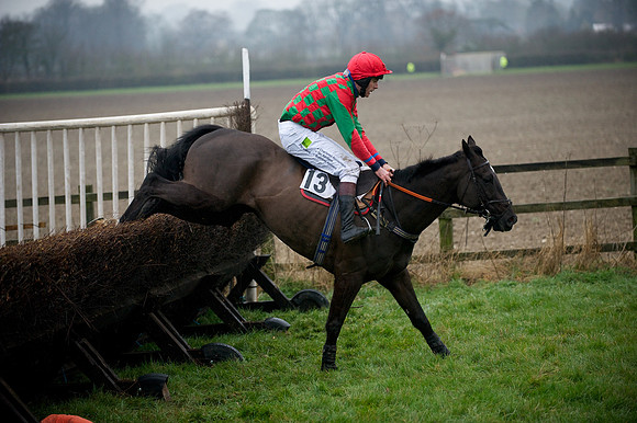 Young Horse Maiden  80