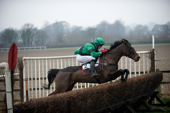 Young Horse Maiden  81