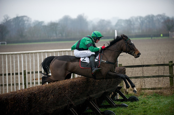 Young Horse Maiden  82