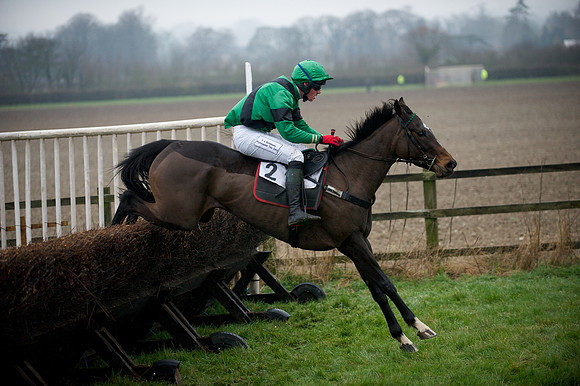 Young Horse Maiden  83