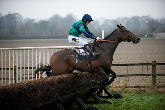 Young Horse Maiden  84
