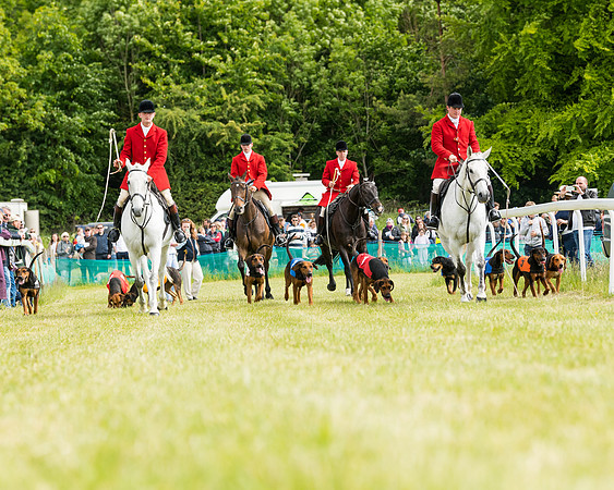Hound Race  (4 of 49)