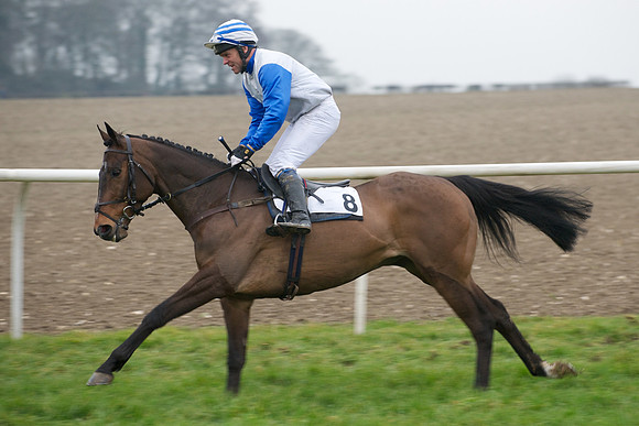 Restricted -  48