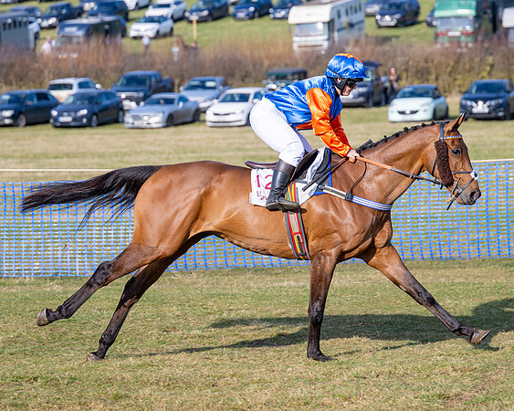 Race 5 - PPORA Five years and over (49 of 163)