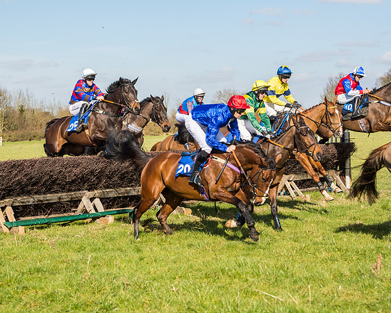 Race 1 - Open Maiden Division 2 (59 of 173)