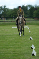 Jackson Dressage 7