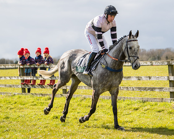 Race 5 - Restricted  (8 of 118)